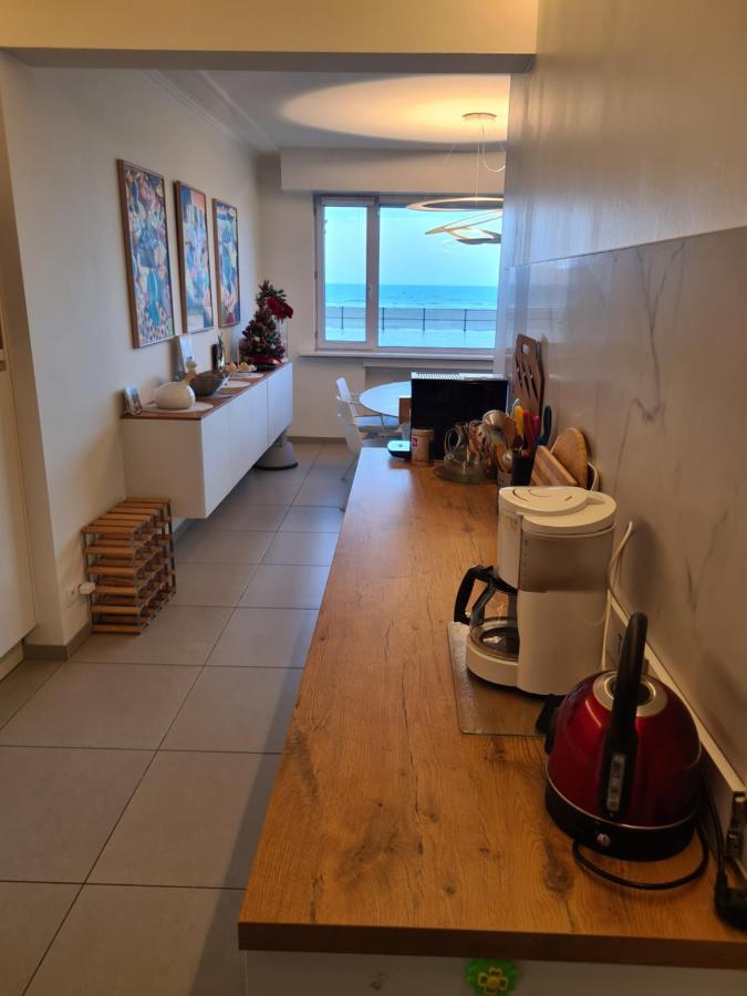 Frontaal Gelijkvloers Seaview 80m² 2 Slp Ostende