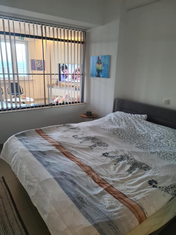 Frontaal Gelijkvloers Seaview 80m² 2 Slp Apartment Ostende